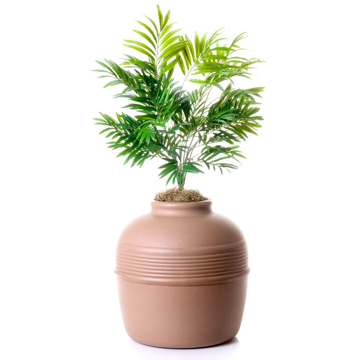 Archie & Oscar™ Lipton Covered Hidden Cat Litter Box with Decorative